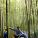 기공&태극권 이미지