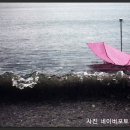 유하갤러리 이미지