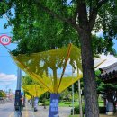 은행공원 내 이미지