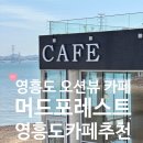 포레스트커피 | 🌊 영흥도 오션뷰 카페 추천｜머드포레스트에서 바다와 커피를 동시에 즐긴 후기!