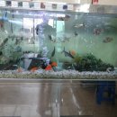 제일윈텍(주) 이미지