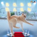흥신 이미지