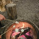 밤밤 | 증평 벨포레 맛집 밤밤테이블 셀프 바베큐 감성 캠핑 후기