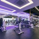 짐샤크 하안점 이미지