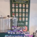 원미흑염소 이미지