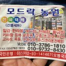 모드락농원 - 17472 | 모드락농원