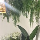 헤드스파