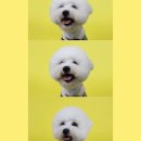 나랑놀개 이미지