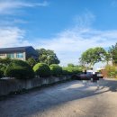 화끈한갈매기 | 제주 서귀포 여행 중 만난 가성비 좋은 고깃집, 화끈한갈매기 숯불구이 솔직 후기!