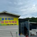 진숙농장 이미지