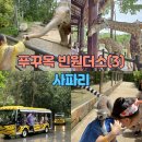 여우꼬리 | 푸꾸옥 빈펄사파리 지도 트램 기린 알락꼬리여우원숭이 비오는날 성공후기