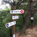 도마치계곡 이미지