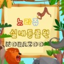 카페노라 - 사하구 감천항로 188 | 카페노라