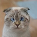 으뜸50 동탄2신도시점 이미지