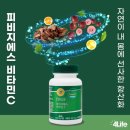 지에스라이프