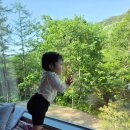 1 | [충북 보은] 충북 알프스 자연 휴양림 트리하우스 1동 숙박후기 및 장단점 (10개월 아기동반)