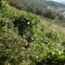 합성동102 이미지