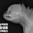 덕신동물병원 네이버블로그