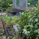 연화농원 이미지