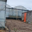 윤서농장 이미지