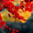 정*열 - 미추홀구 비룡길42번길 31 | 정*열
