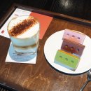 브릭포레스트 이미지