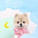 주토피아스튜디오 이미지