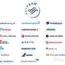 스카이팀 이미지