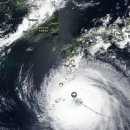 태풍이네 이미지