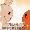 금봉칼국수 | 일상 | 먹고 먹기만하는