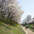 반월놀이공원 이미지