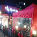 땅땅치킨강서구청점 이미지