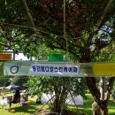 대경메디칼케어 이미지