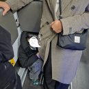 딸기약국 | 우루사 조제용 300정 종로 보령약국에서 처방전없이 텐텐까지