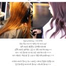 맘헤어샵