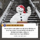 동부기획 | [캐나다 동부 여행]'파란여행'의 퀘벡 2박3일 여행후기 (2026.1.30)