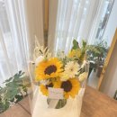 사파동322 이미지