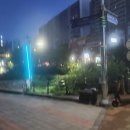 도교1교 이미지