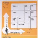 피노키오복싱 이미지