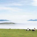 김남희 한의원 이미지