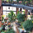 그린보드 | [춘천 카페 추천] 겨울에도 파릇파릇! 힐링 명소 ‘그린보드’ 식물원 카페 후기