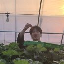 태형농장 이미지