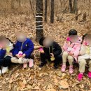 꽃들에나라어린이집 이미지