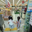 풀잎코너 Daum카페