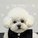 멍발소 하우스 | 구미 스트레스 없는 미용실 멍발소하우스