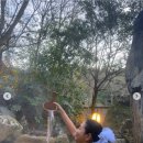 진재영 카카오 검색결과