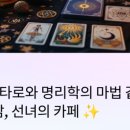 명리학과 타로의 만남 이미지