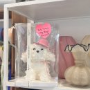 바구니꽃집 | [대전꽃집/대전과일바구니]글로리가든플라워, 달디당 과일 후기/부모님 첫인사 선물 추천, 내돈내산 후기