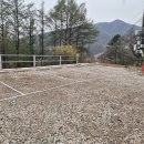 하늘과땅사이 | 가평 애견동반 펜션 하늘과땅사이힐링스테이 401호에서 보낸 감성 가득 하루