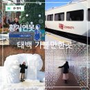 원주청소년문화의집 화장실 | 강원도 겨울 기차여행 팔도장터 관광열차 황지연못, 태백산 눈축제, 통리탄탄파크